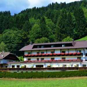 Herzlich Willkommen in Berg im Drautal (c) Ferienhotel Sunshine