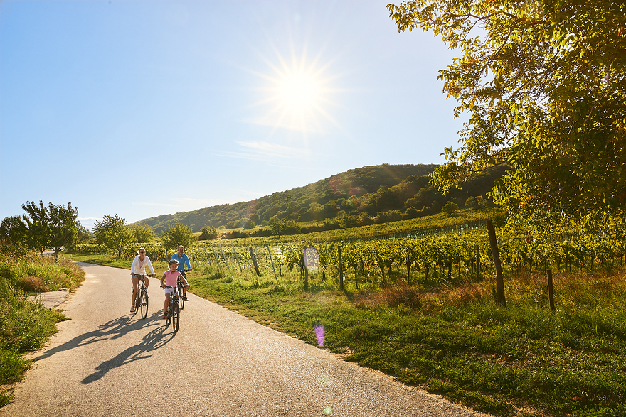 genussreicher Radurlaub - die Radwege in Burgenland erkunden