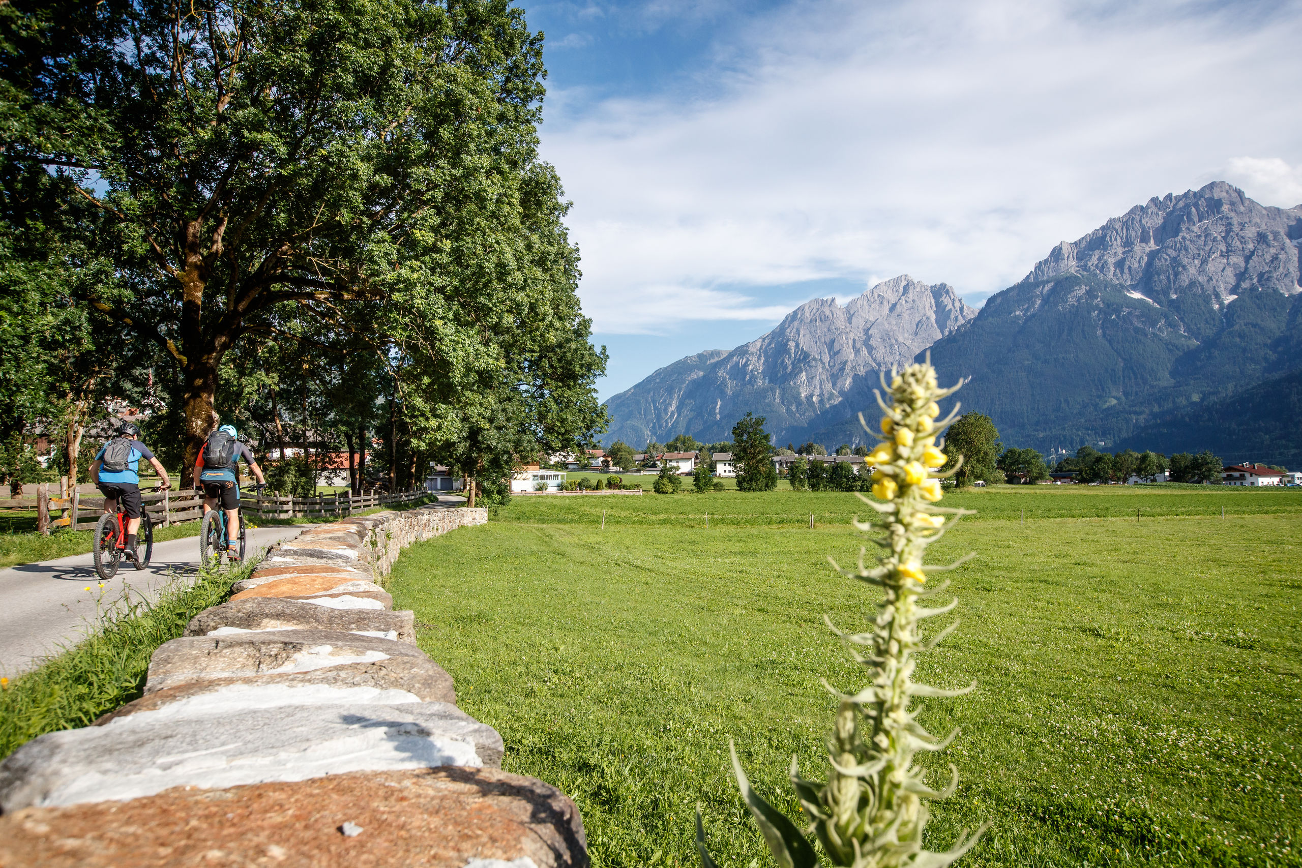 Geniet van ontspannen fietstochten langs de Drau in Oost-Tirol