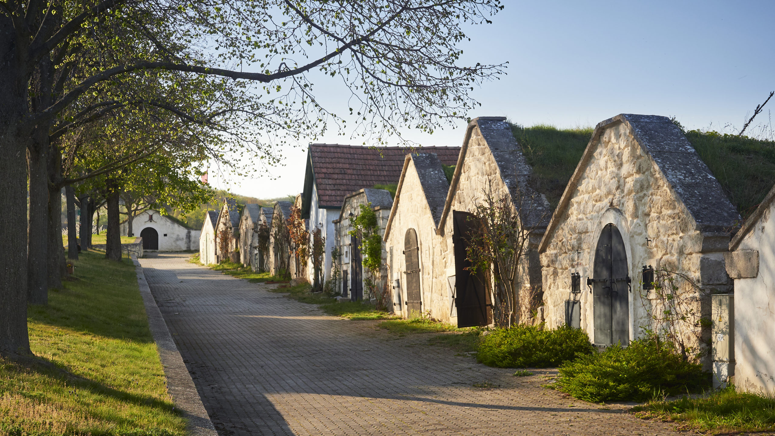 Rund um den Neusiedler See findet man alte Kellergassen