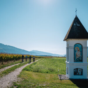 Radpilgern Südkärnten (c) Kärnten Werbung GmbH I Martin Hoffmann